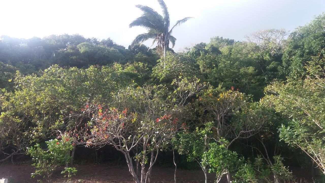 Refugio Na Serra Bananeiras Dış mekan fotoğraf