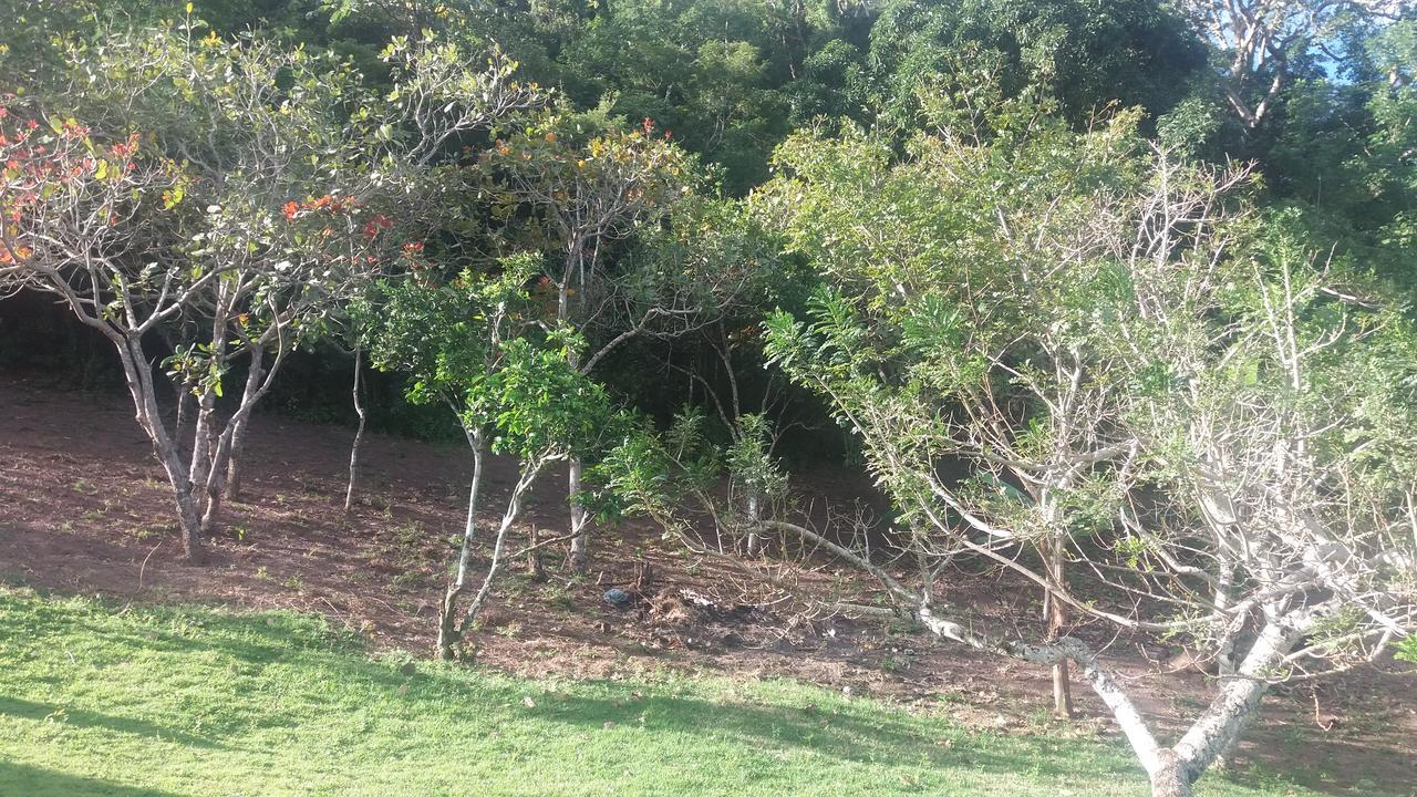 Refugio Na Serra Bananeiras Dış mekan fotoğraf